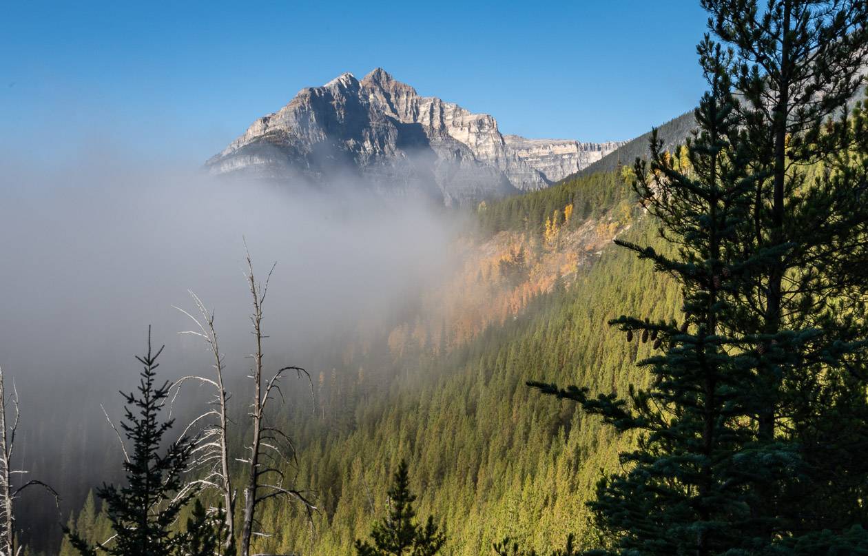 Early morning fog 