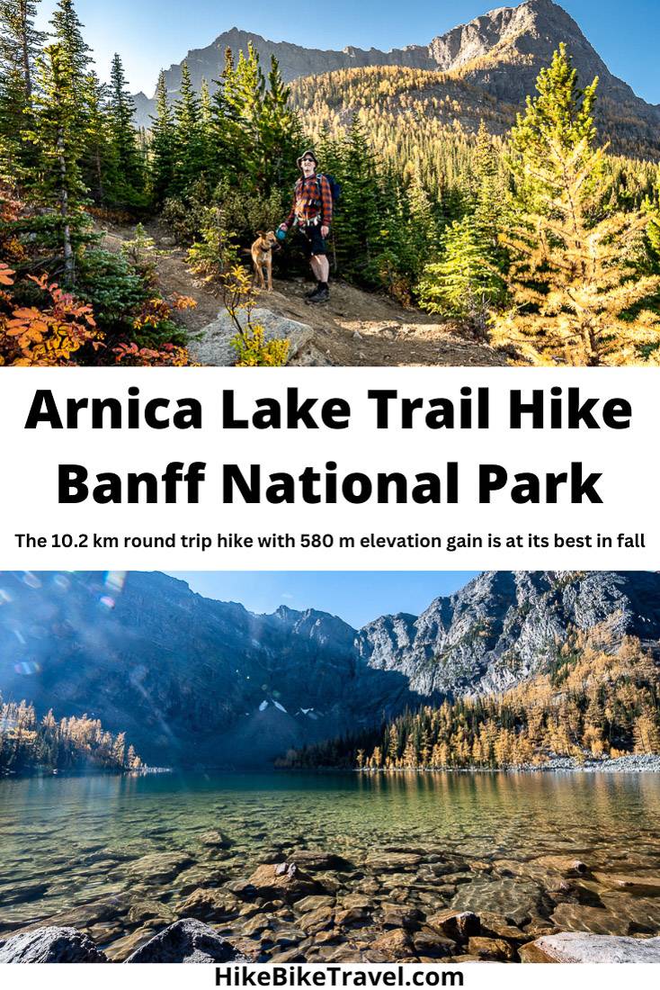 The 10.2 km return Arnica Lake hike in Banff National Park is at its best in larch season