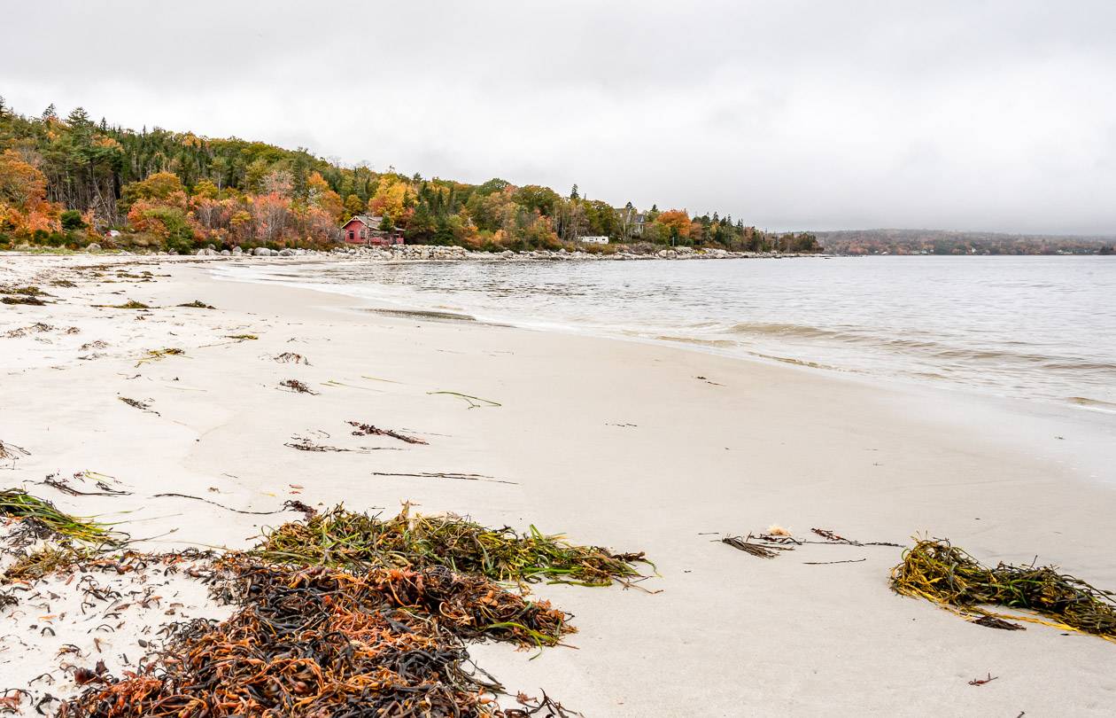 Carters Beach near Port Mouton is small but beautiful