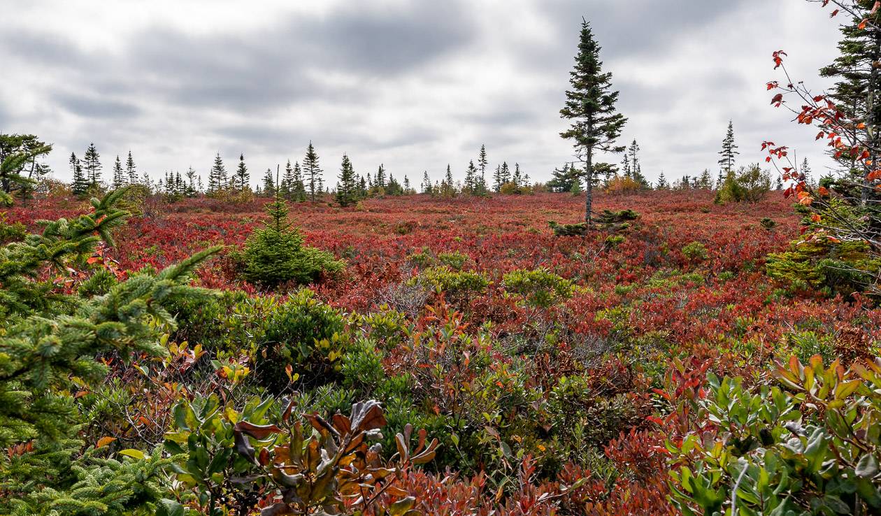 Colourful Kejimkujik National Park near Liverpool, Nova Scotia in fall