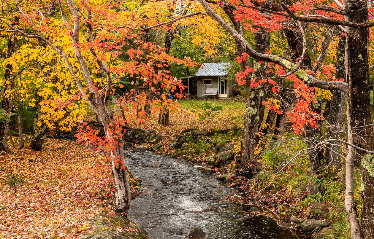 Beautiful fall scene across from Meadow Pond Wetland