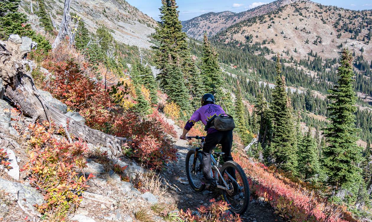 A mountain biker on the Old Glory Trail