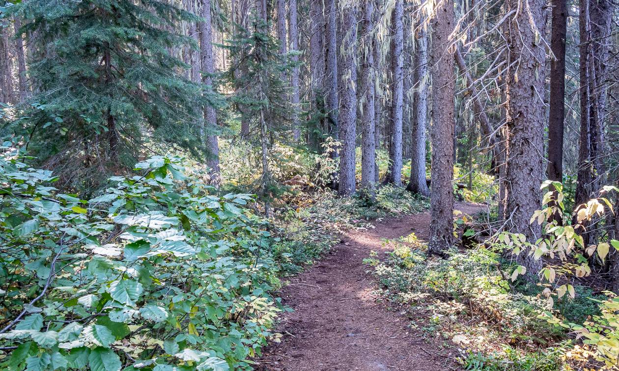 The hiking is very pretty when fall colours make an appearance