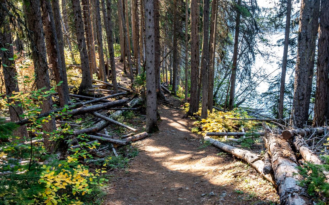 Pretty walking on the trail around Nancy Greene Lake