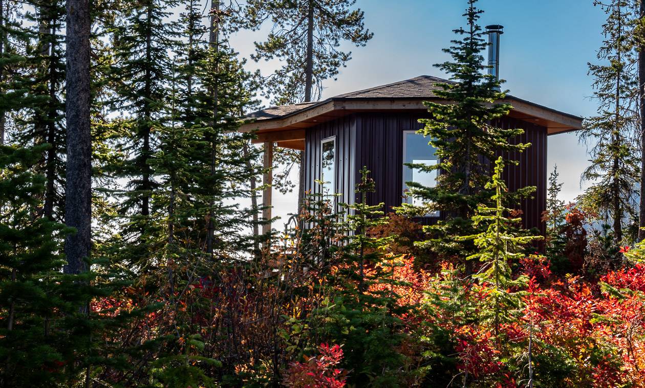 The back view of the Eagle's Nest Cabin