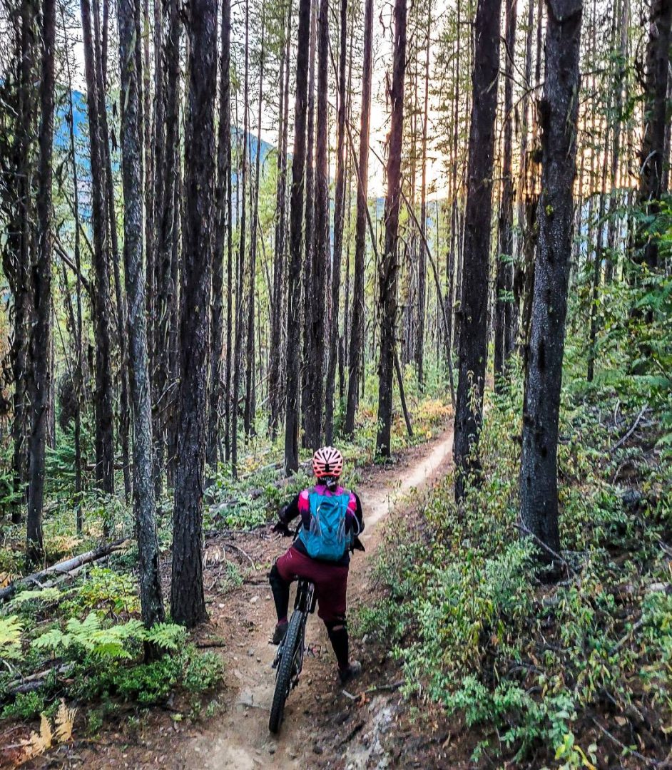 One of the super fun flowy sections in the trees as the sun is going down