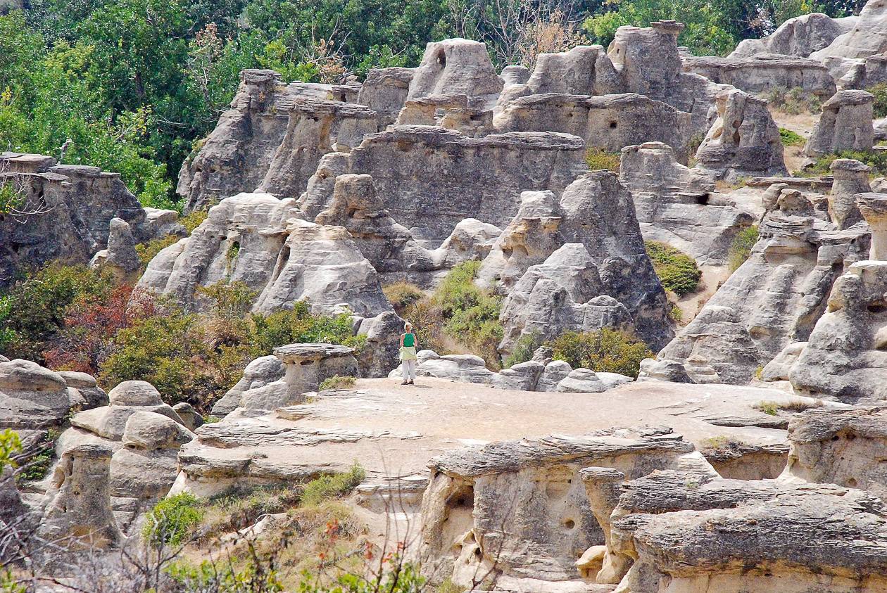 The hoodoos in Writing-on-Stone Provincial Park