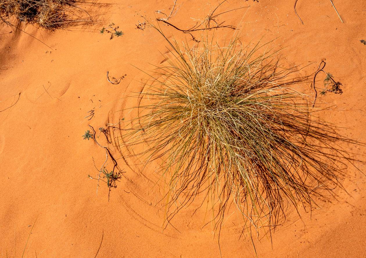 Patterns in the sand caused by the wind