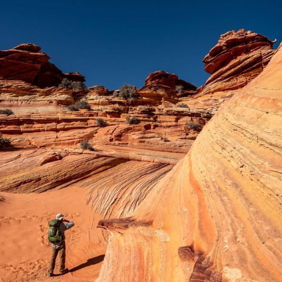 Our guide leading the way in the Coyote Buttes South area