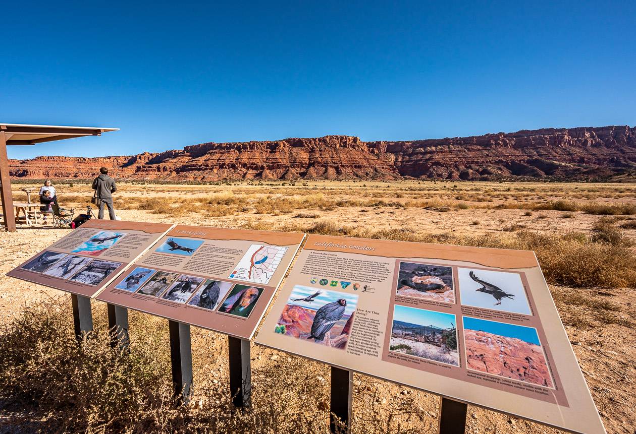Don't miss a stop at the California condor viewing site on House Rock Road