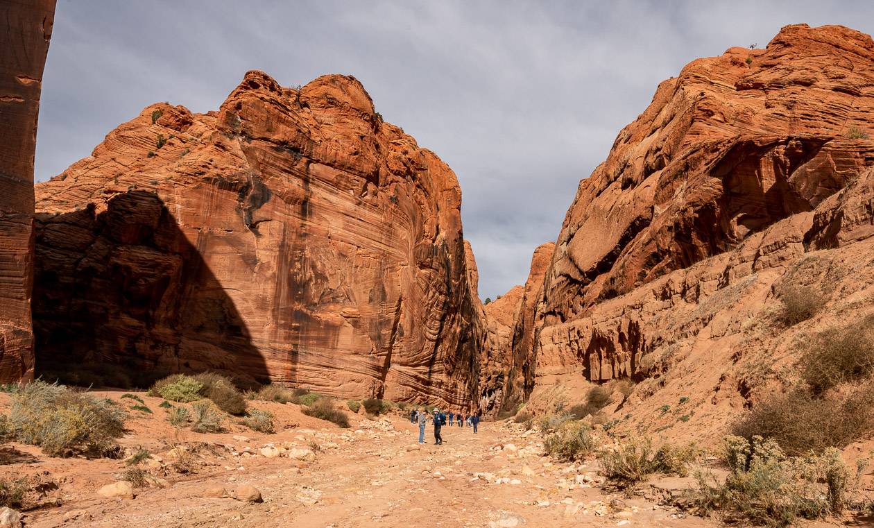 Looking up Buckskin Gulch towards the intersection with Wire Pass