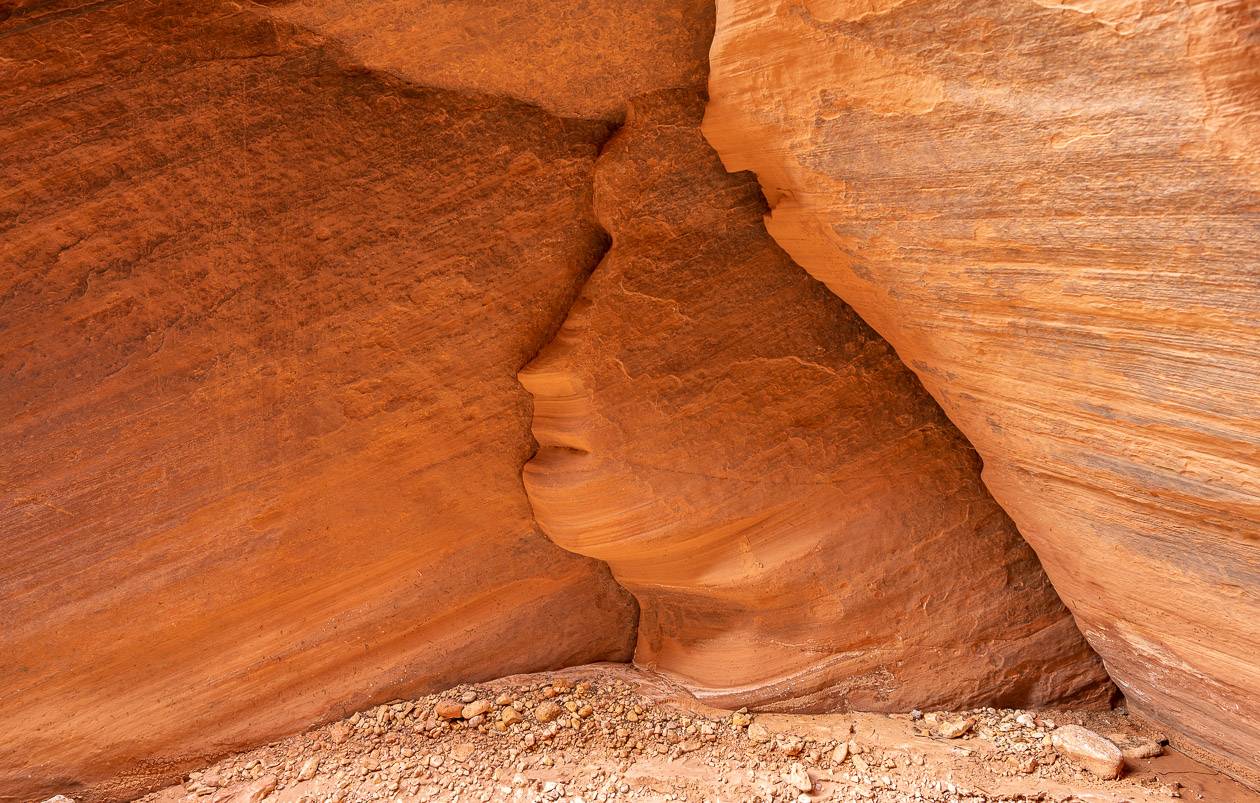 Unless you're paying attention you'll probably miss seeing "The Queen" in the Buckskin Gulch part of the hike