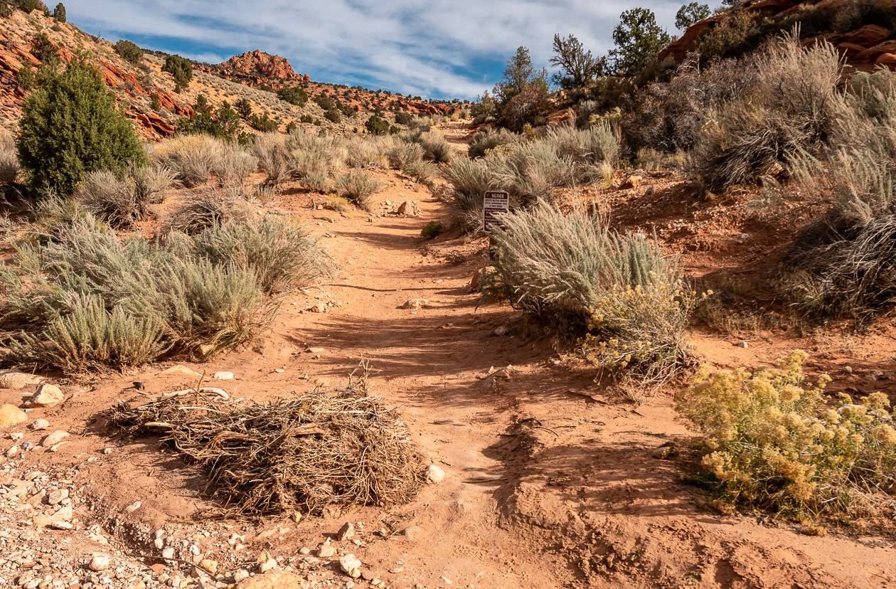 You pass the entrance to The Wave early on in the hike to Buckskin Gulch