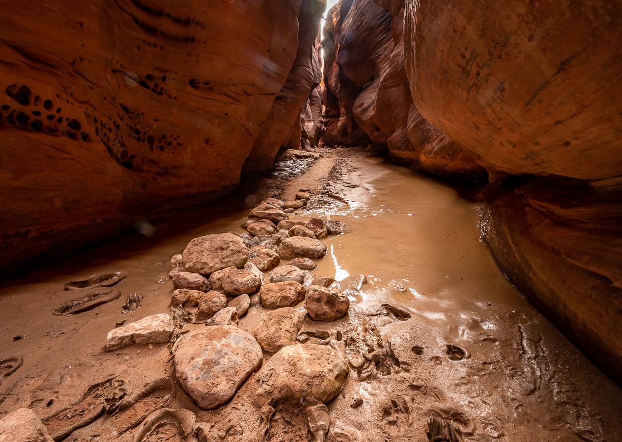 After a mile of hiking in Buckskin Gulch it started to get wetter and muddier so we turned back as did everyone we saw just up from here