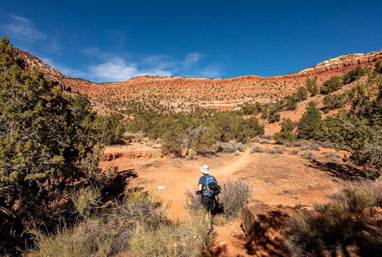 Near the start of the Bunting hike, one of the best hikes near Kanab