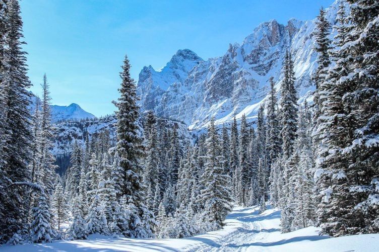 Yoho National Park offers some of the prettiest cross-country skiing in Canada