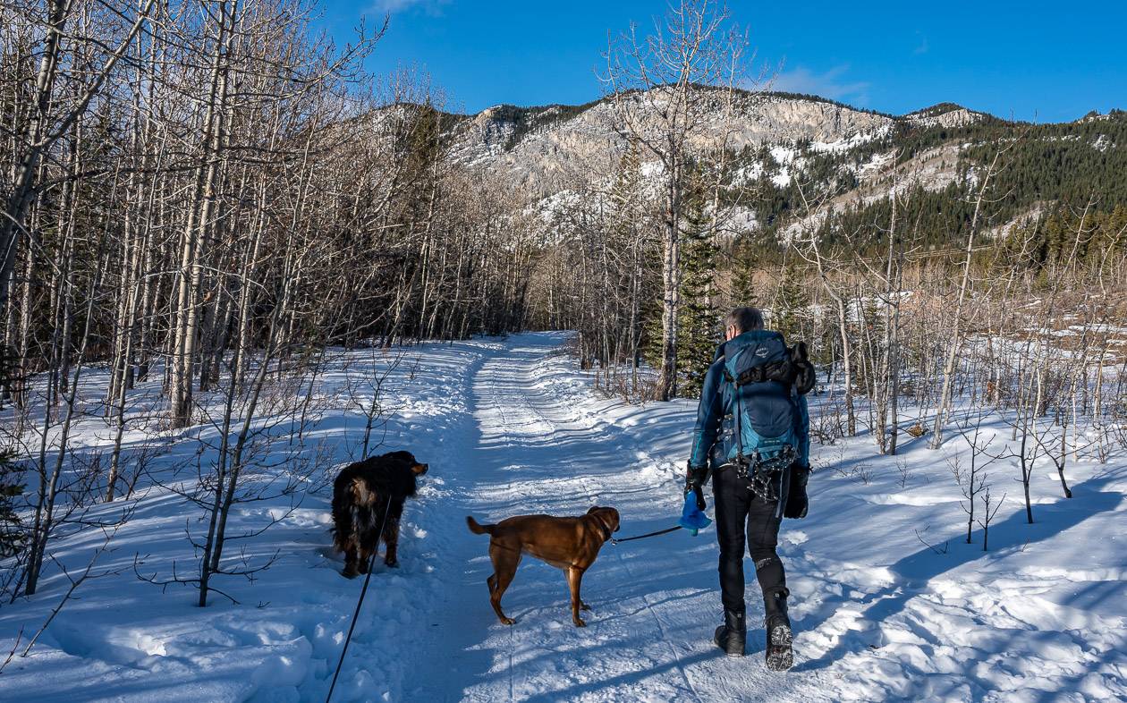 Easy hiking towards Yates Mountain 