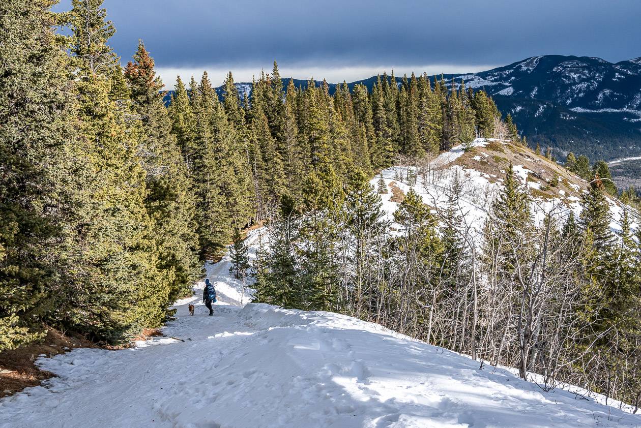 John heading down one of the last open sections before the trees