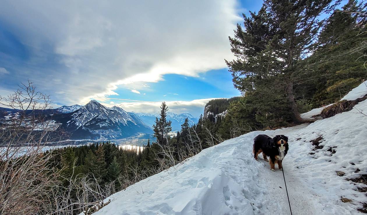 The clouds added another dimension to the Yates Mountain hike