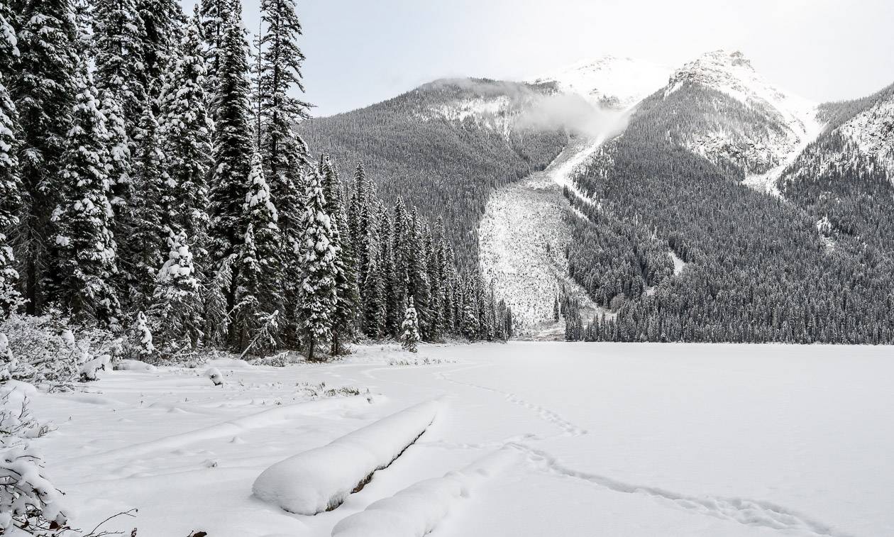 The avalanche trail ends at Emerald Lake in Yoho National Park