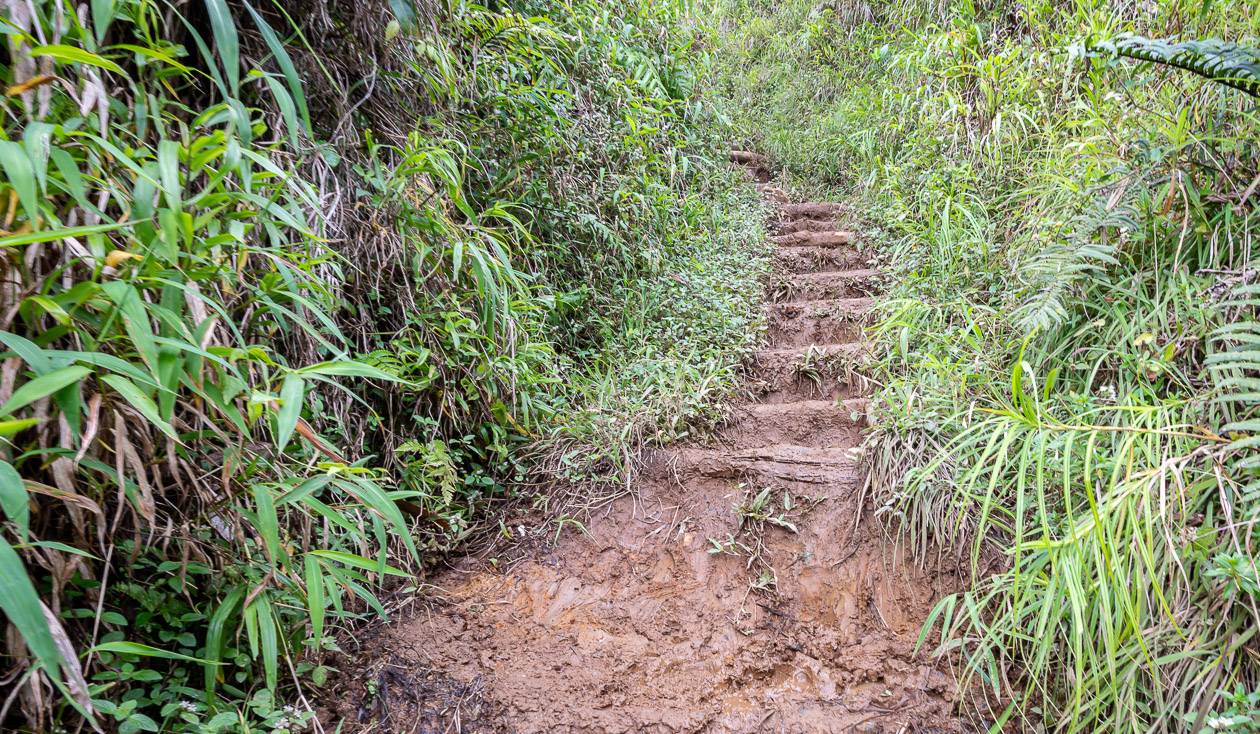 You can expect to hike on lots of muddy stairs like this