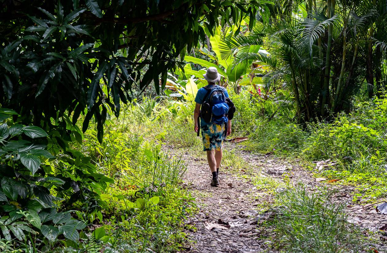 It's an easy hike through lush green forest to the Chaudiere Pool in Dominica