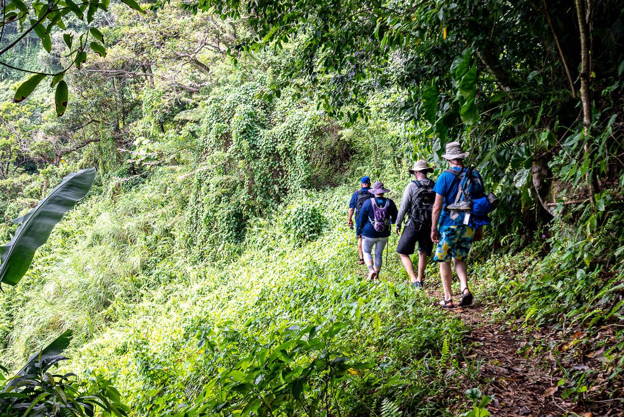 Stay on the trail as you hike down to Glassy Pools as there is quite a dropoff - one of the more exciting Dominica adventures