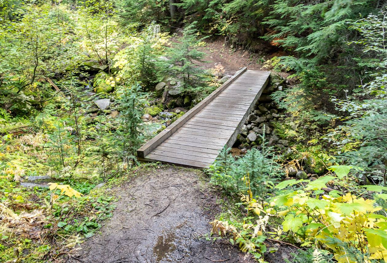 One of the bridges you cross on the Plewman Trail