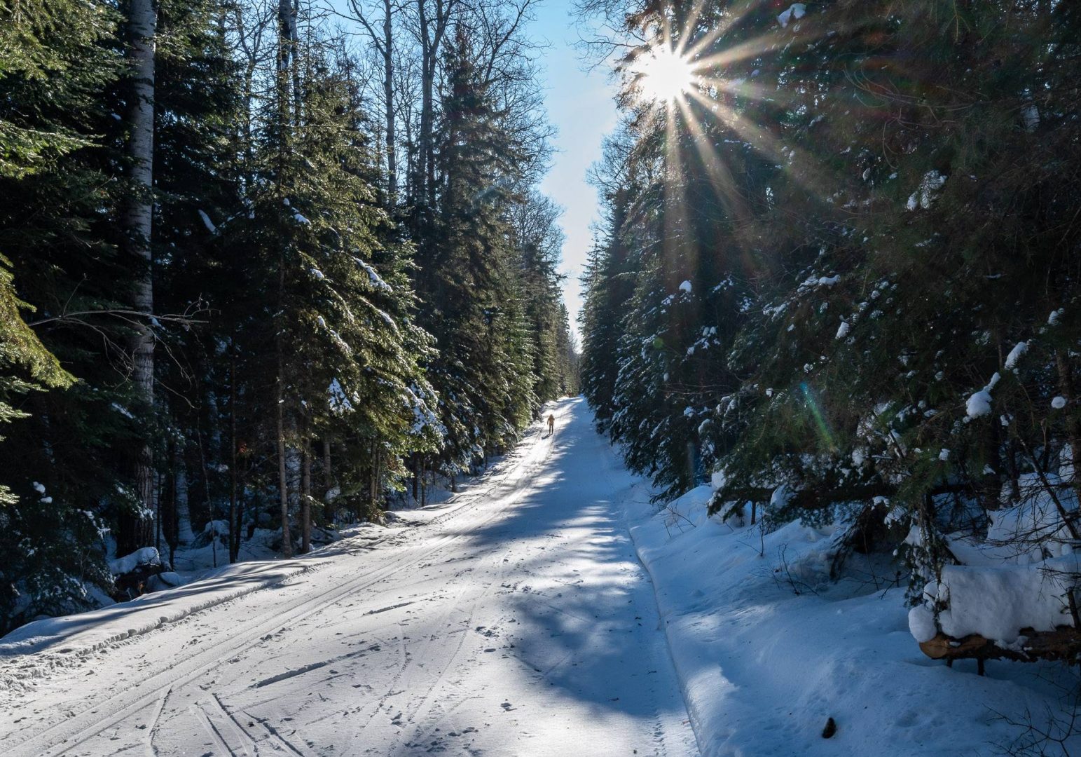 Pretty cross-country skiing on the long but easy Crean Trail