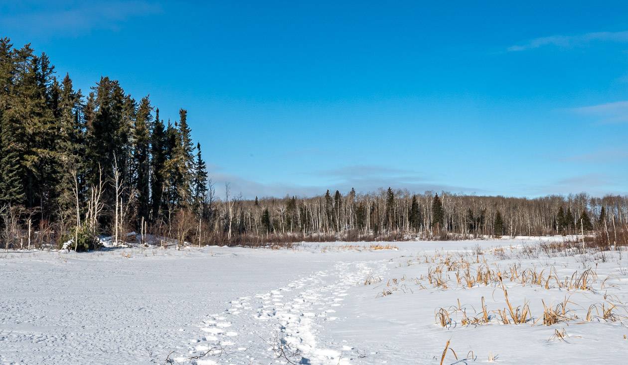 A beautiful backdrop for a snowshoe outing in Prince Albert National Park