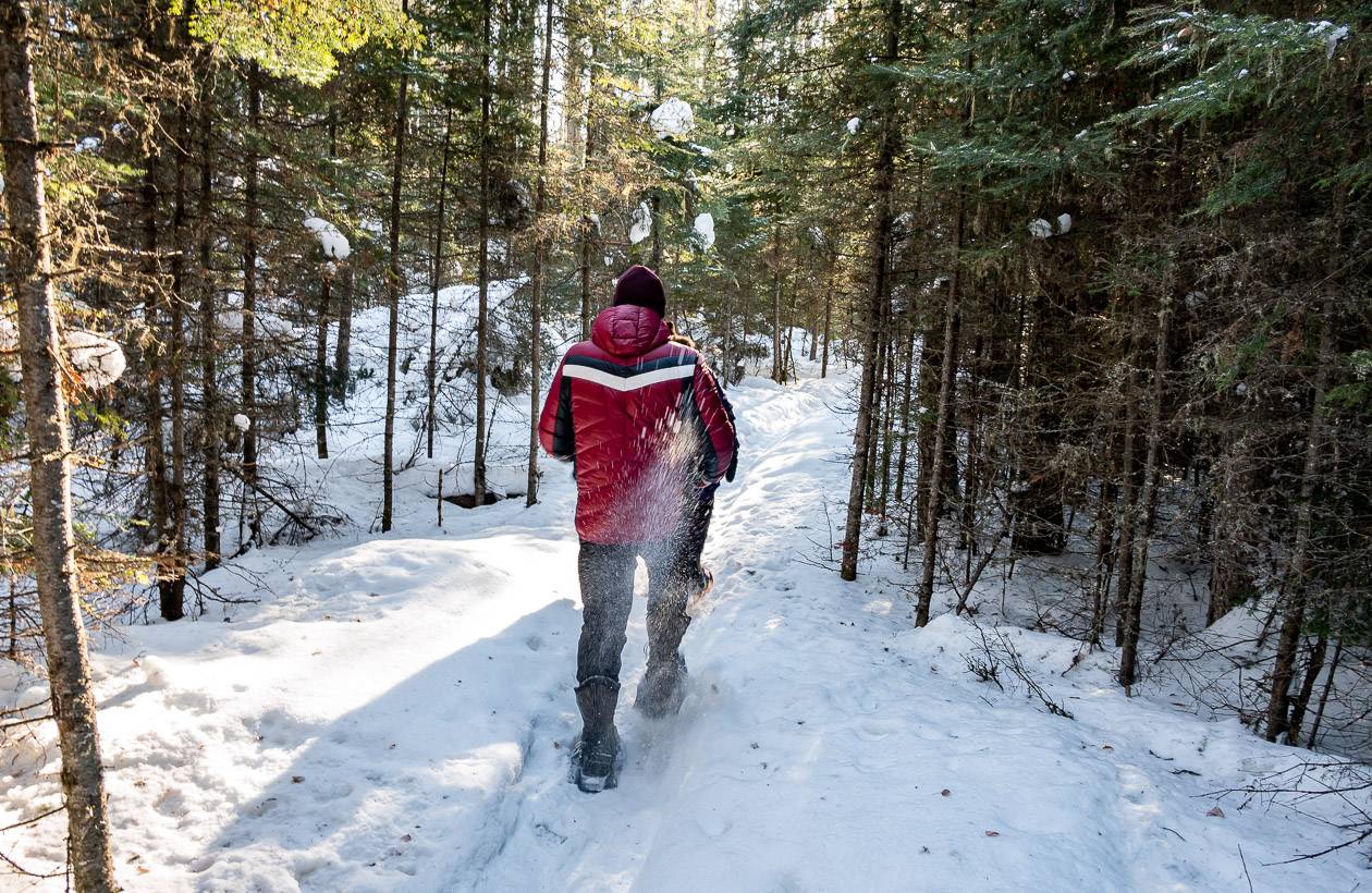 Snowshoeing the easy Mud Creek trail