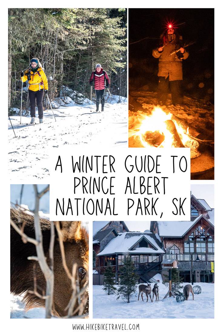 A winter guide to visiting Prince Albert National Park