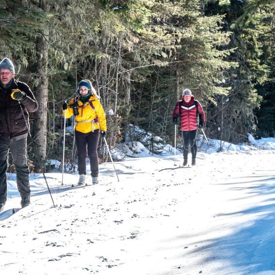 Cross-country skiing in Prince Albert National Park