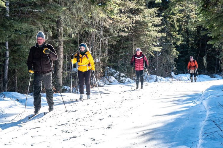 Cross-country skiing in Prince Albert National Park