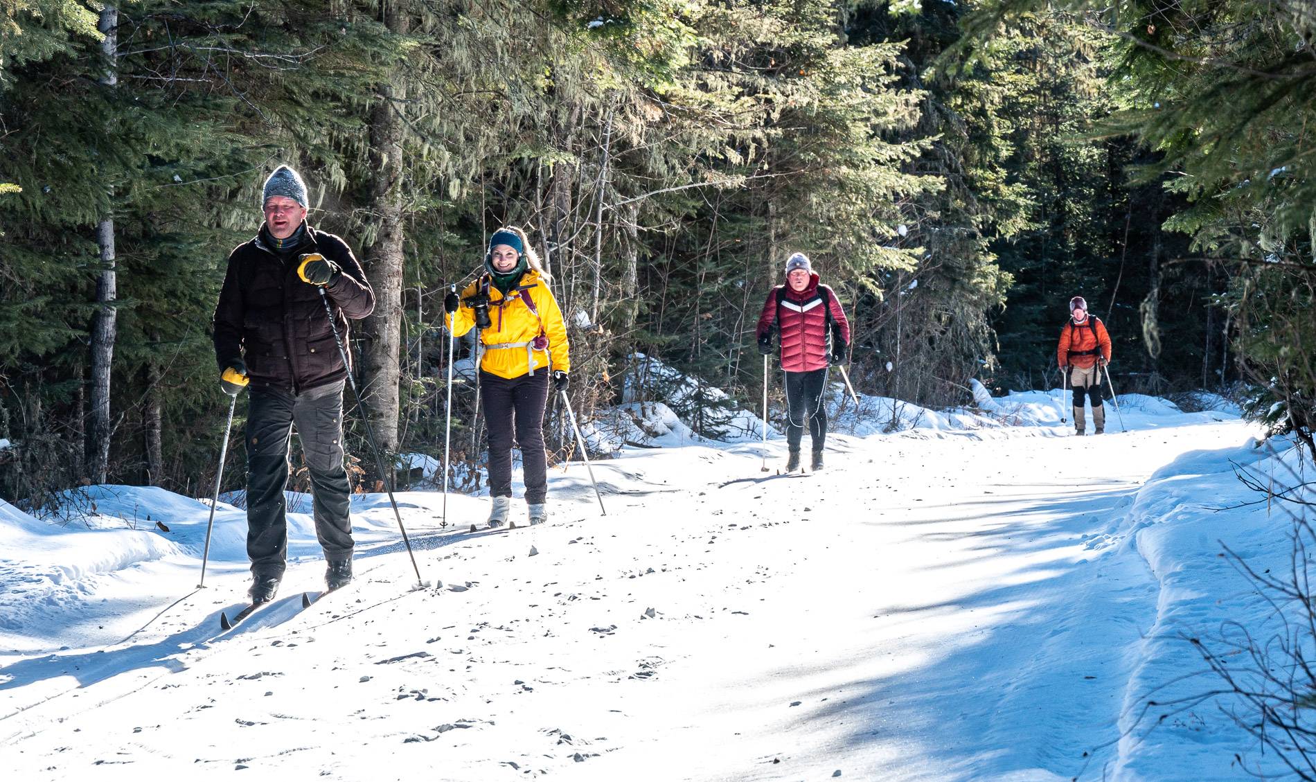 Cross-country skiing in Prince Albert National Park