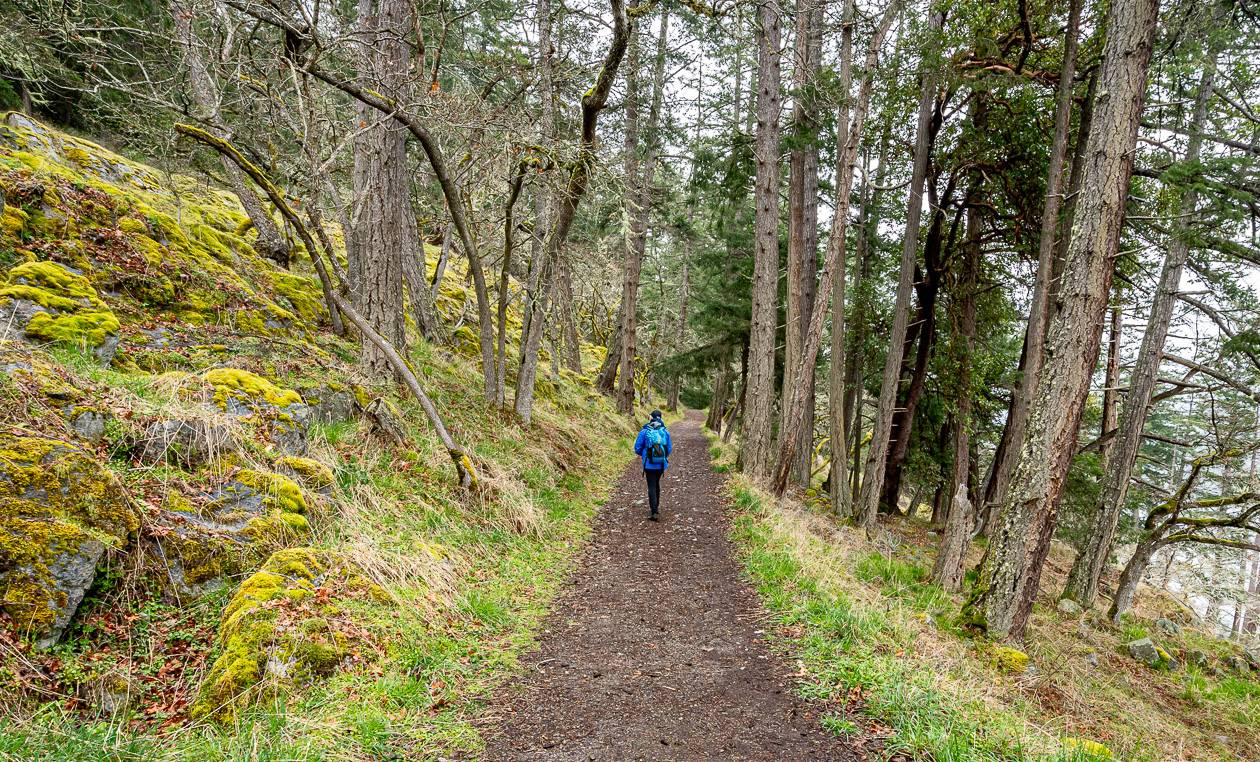 Lots of ups and downs on the hike to and from Daffodil Point