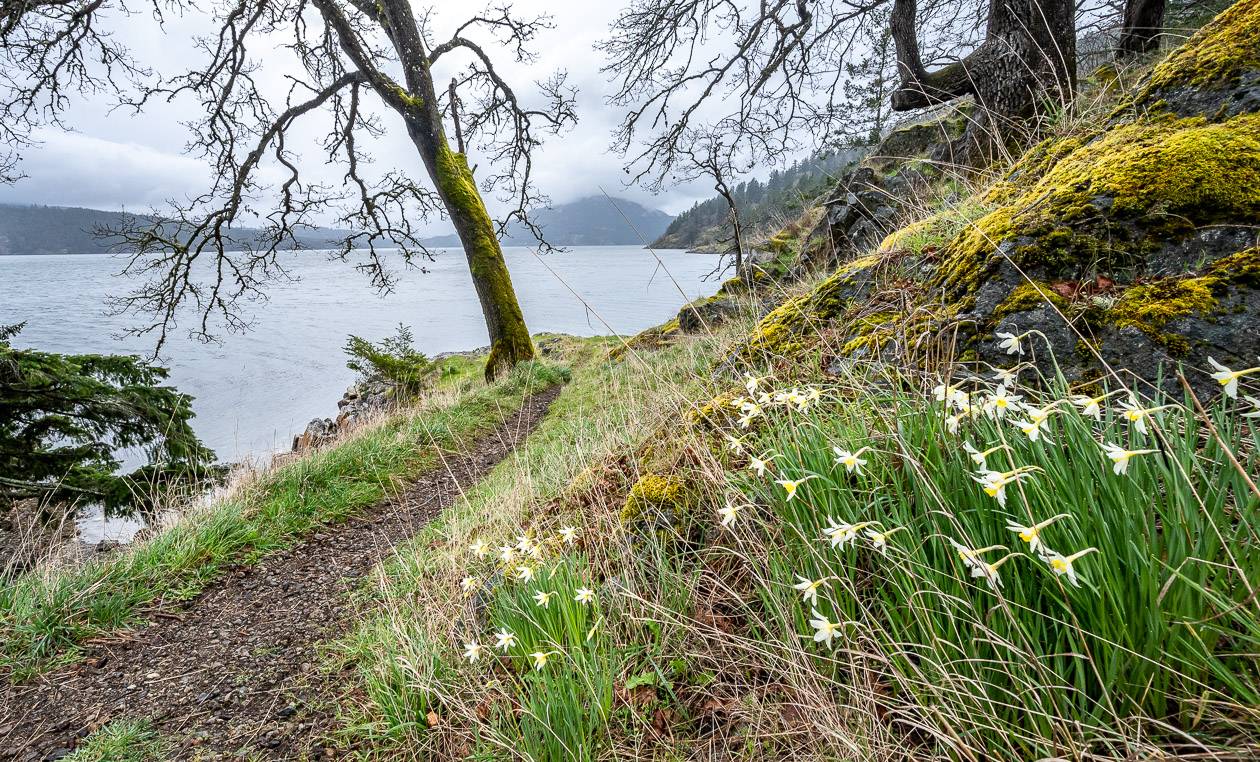 Aptly named Daffodil Point - at least in spring