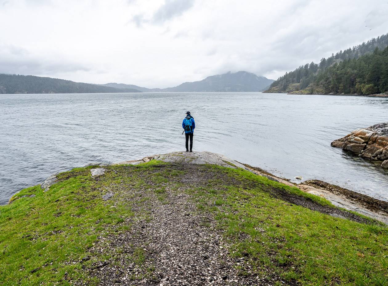 Looking out from Daffodil Point