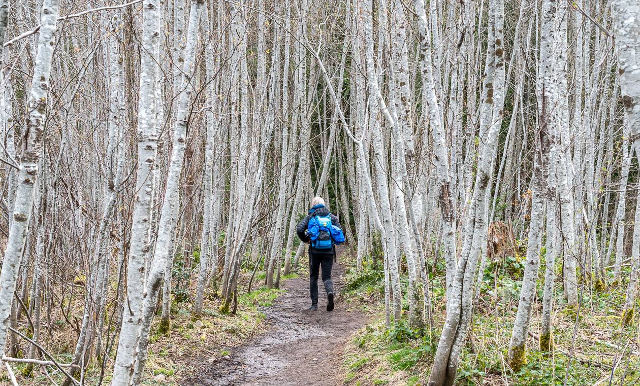 The start of the Mount Erskine hike on Salt Spring Island