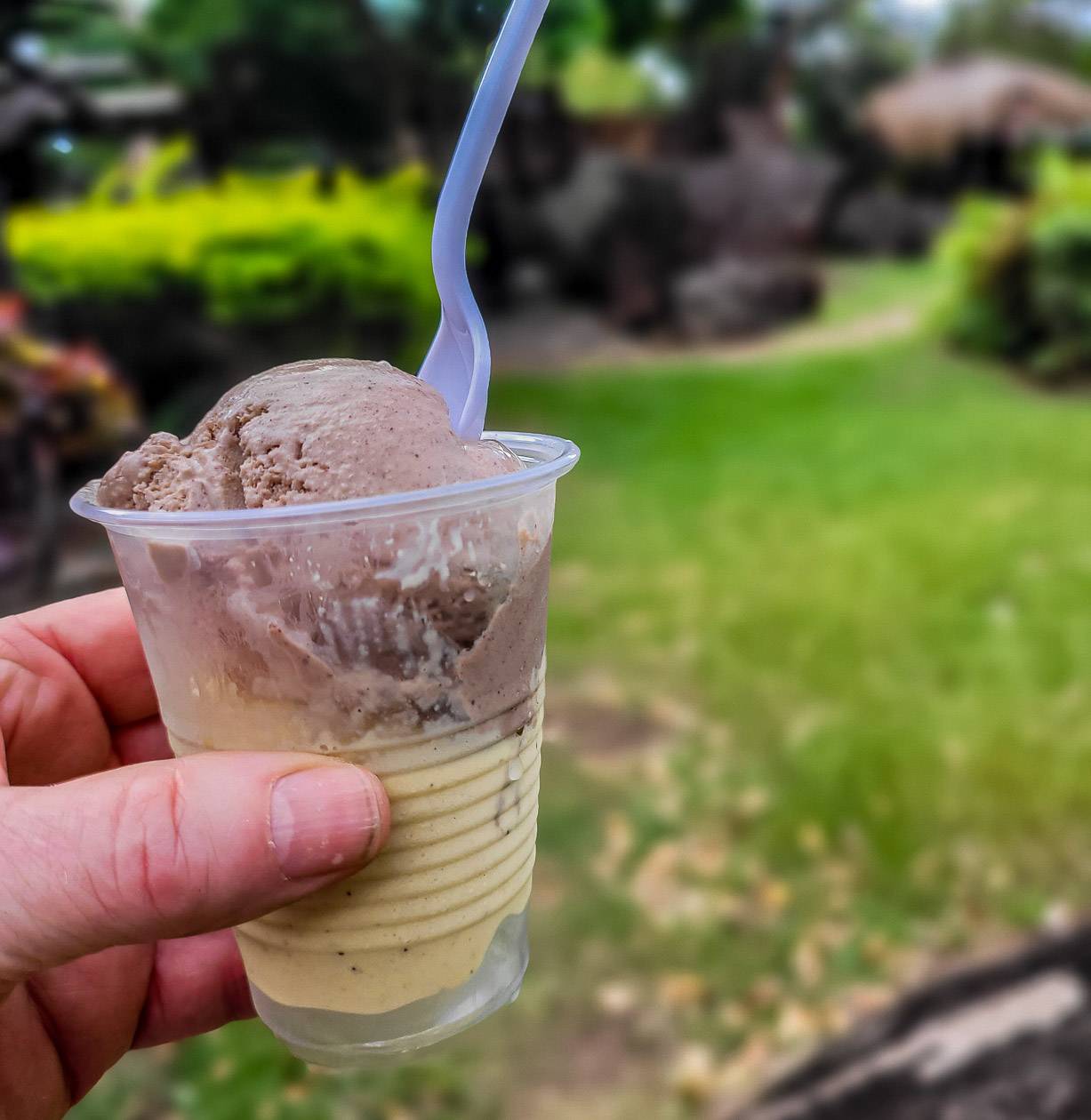 Bring US cash so you can buy ice cream at the end of the Gros Piton hike