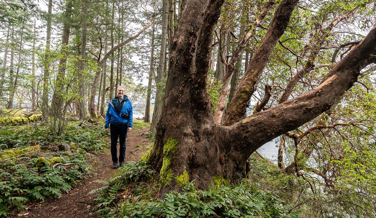 Passing giant trees on the way to Trail 2