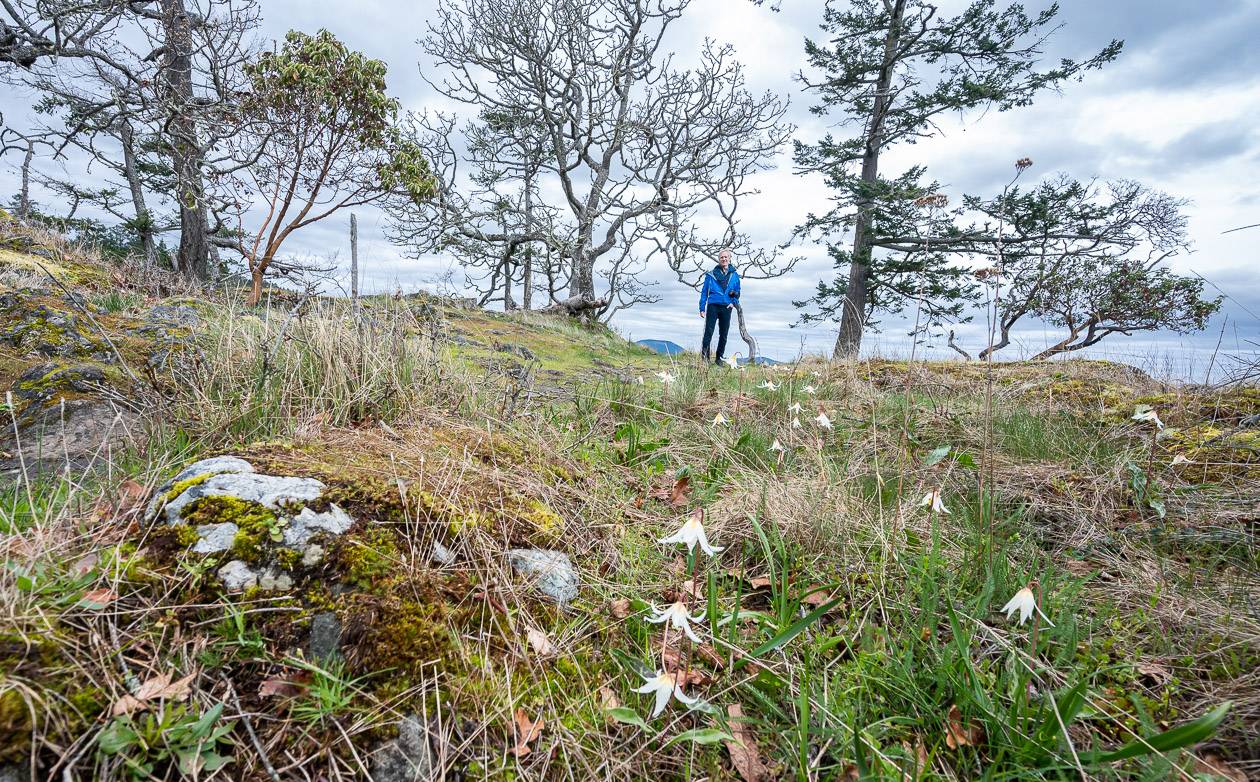 Some wildflowers were blooming in early April when we hiked the Ruckle park trails