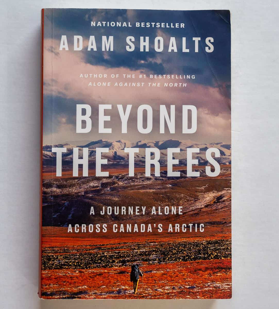Beyond the Trees: A Journey Alone Across Canada's Arctic by Adam Shoalts