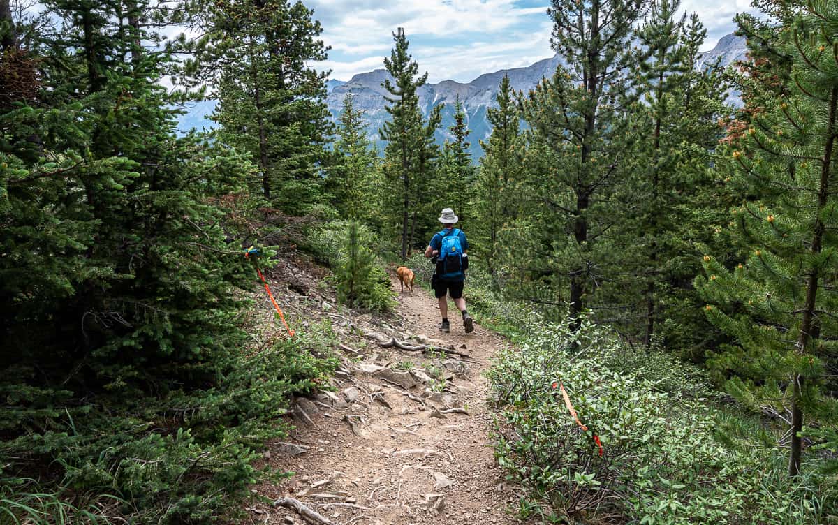 Turning left and descending on the trail to Allstones Lake