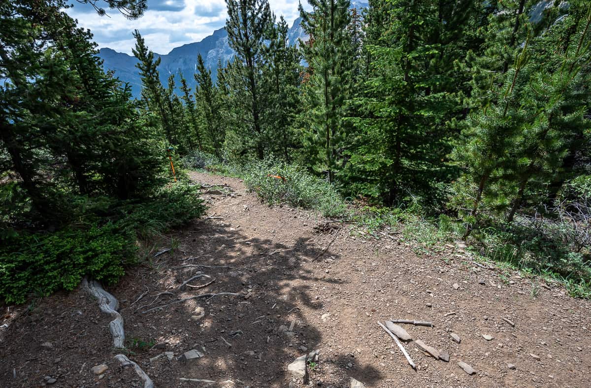 A stone arrow on the trail pointing in the direction of Allstones Lake