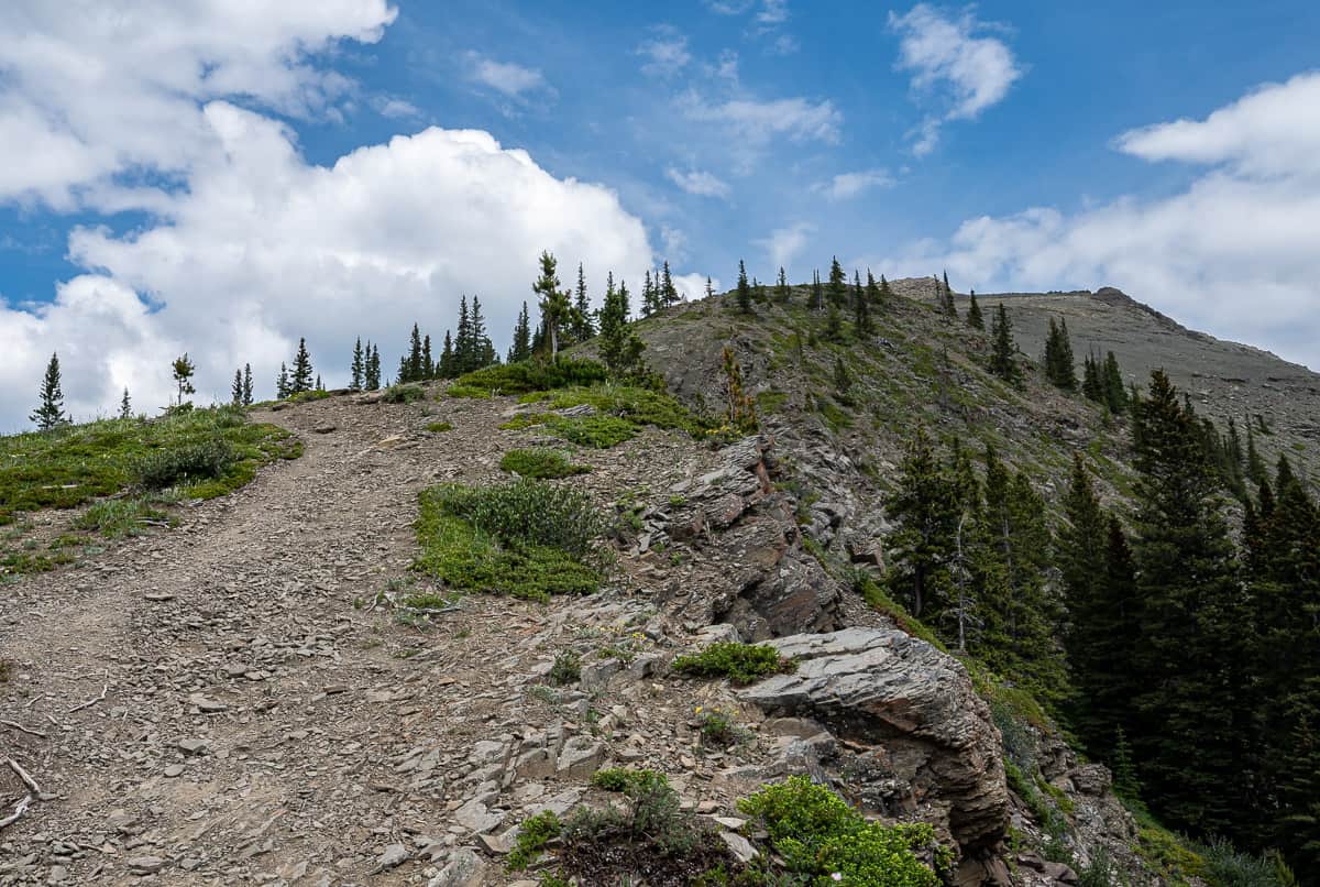 Looking up at the scree like trail going up Allstones Ridge 