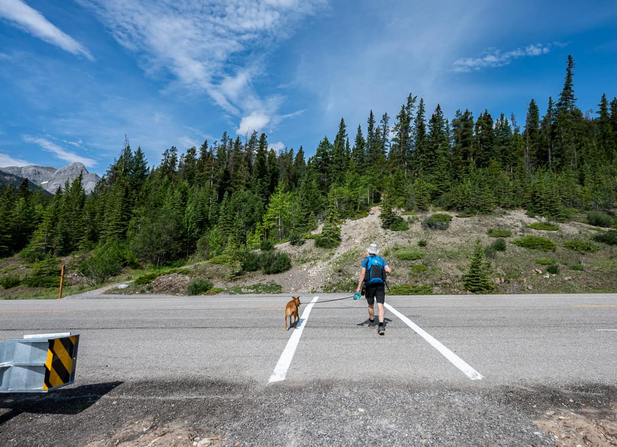 Cross Highway 11 to get on the Allstones Lake trail