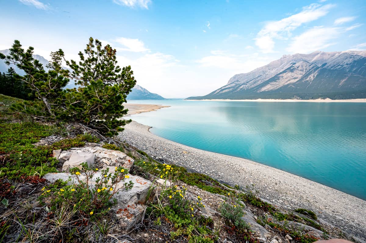 Beautiful scenery along Abraham Lake - just a 7- minute walk from our cabin at Aurum Lodge