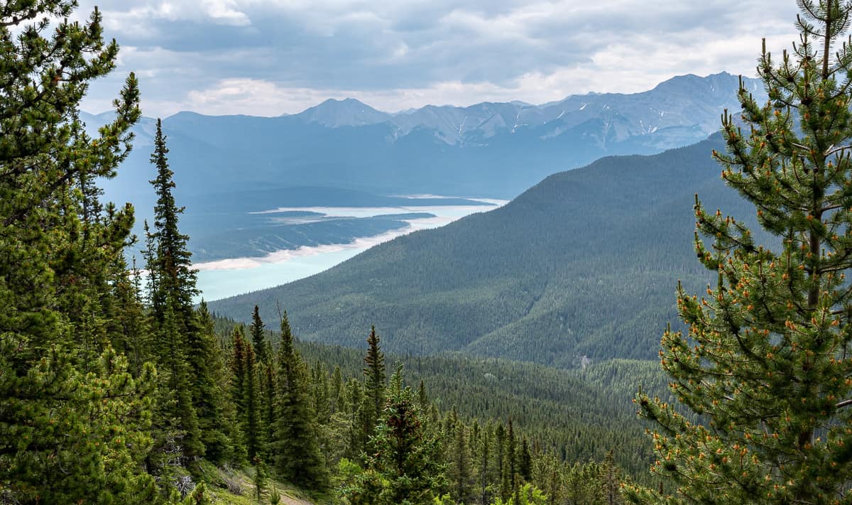 First views of Abraham Lake as you start to get out of the thick forest