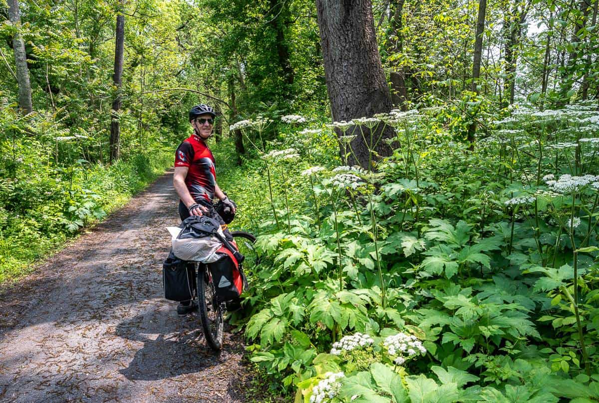 May is a fantastic time to cycle the C&O Bike trail with all the wildflowers around